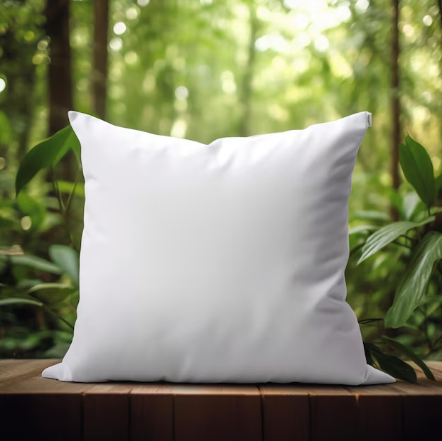 Customize a Pillow!