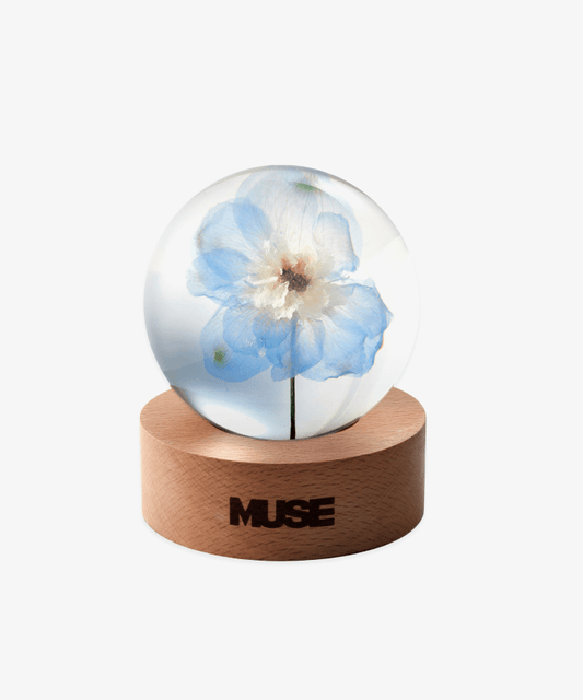 MUSE - Paper Weight
